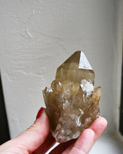 Elestial Citrine Cluster – Namibia