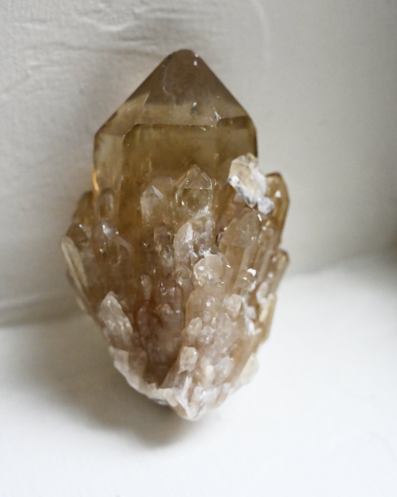 Elestial Citrine Cluster – Namibia