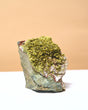 Epidote Specimen 4in 160g No. 422