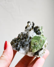 Epidote Diopside Calcite Tremolite Cluster
