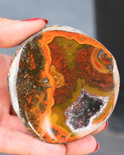 Fighting Blood Agate Geode with Dendrites 0.58 lb Hebei China - held in hand
