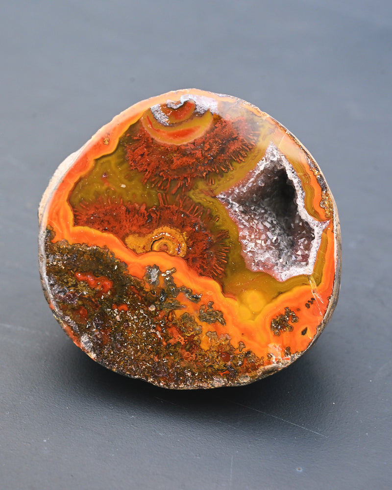 Fighting Blood Agate Geode with Dendrites 0.58 lb — Hebei, China