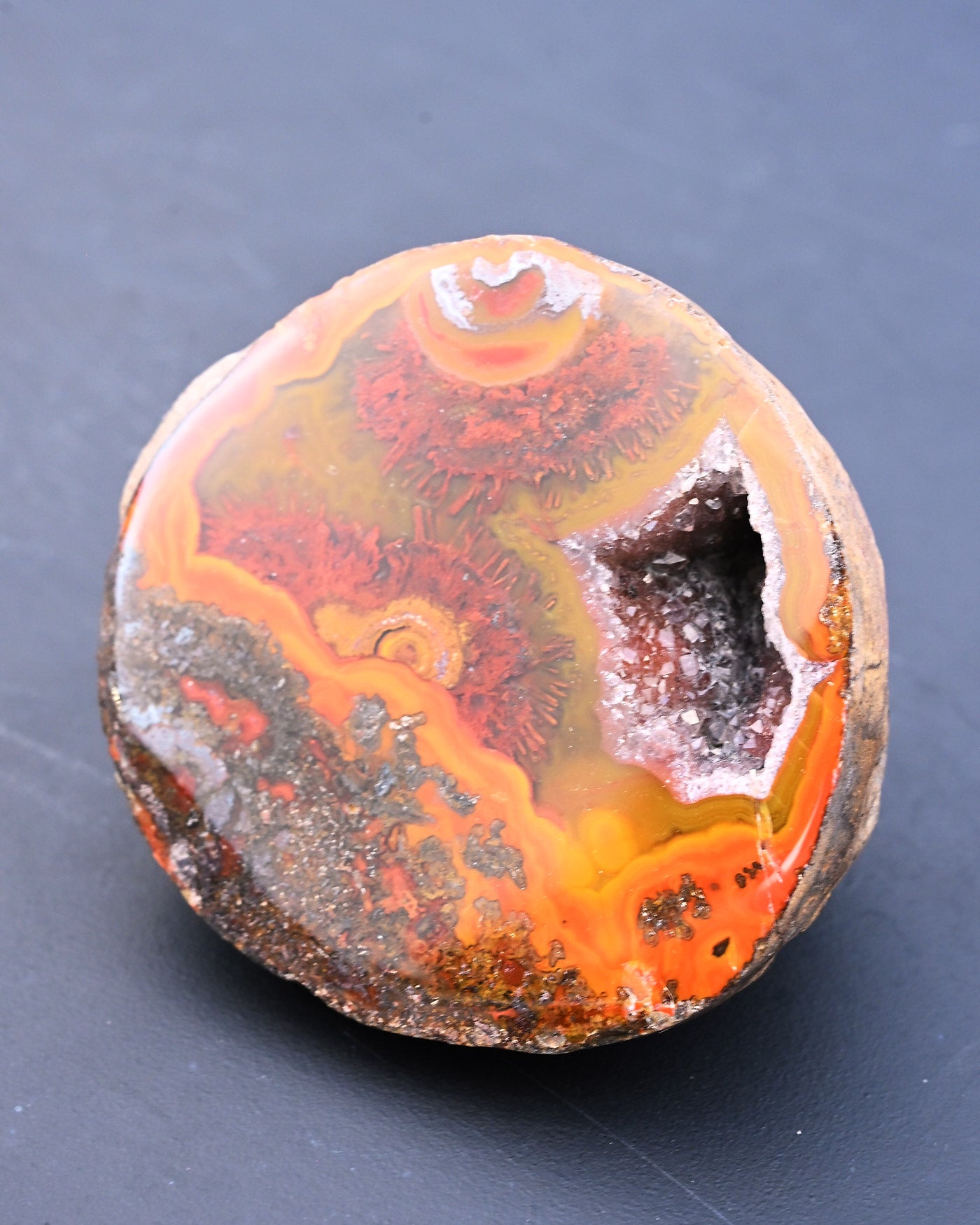 Fighting Blood Agate Geode with Dendrites 0.58 lb - on surface