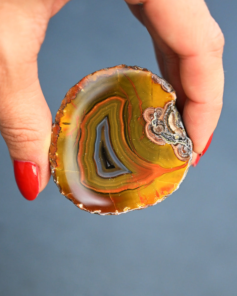 Fighting Blood Agate Slice Hebei China - held in hand