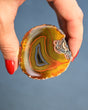 Fighting Blood Agate Geode — Hebei, China