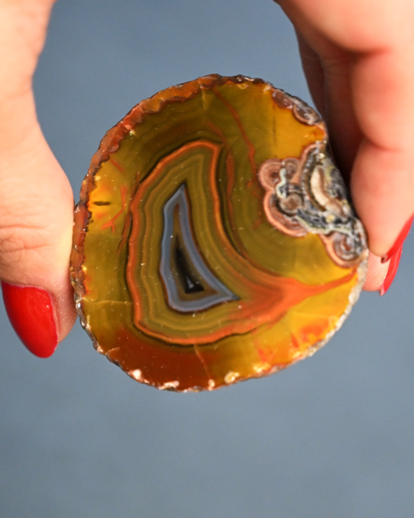Fighting Blood Agate Slice Hebei China - held in hand angle