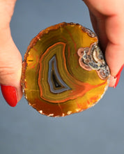Fighting Blood Agate Slice Hebei China - held in hand angle