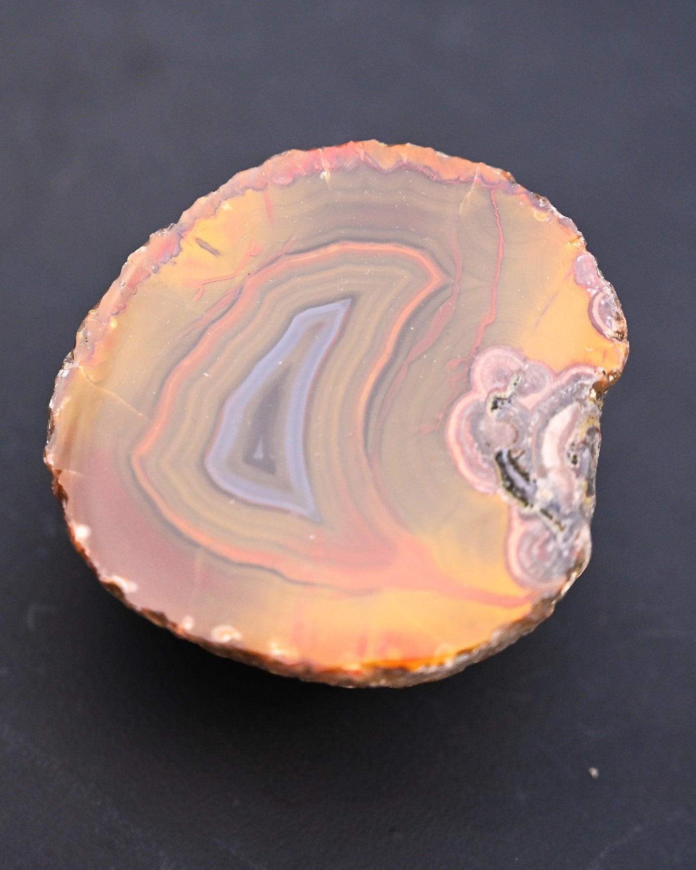 Fighting Blood Agate Slice Hebei China - on surface