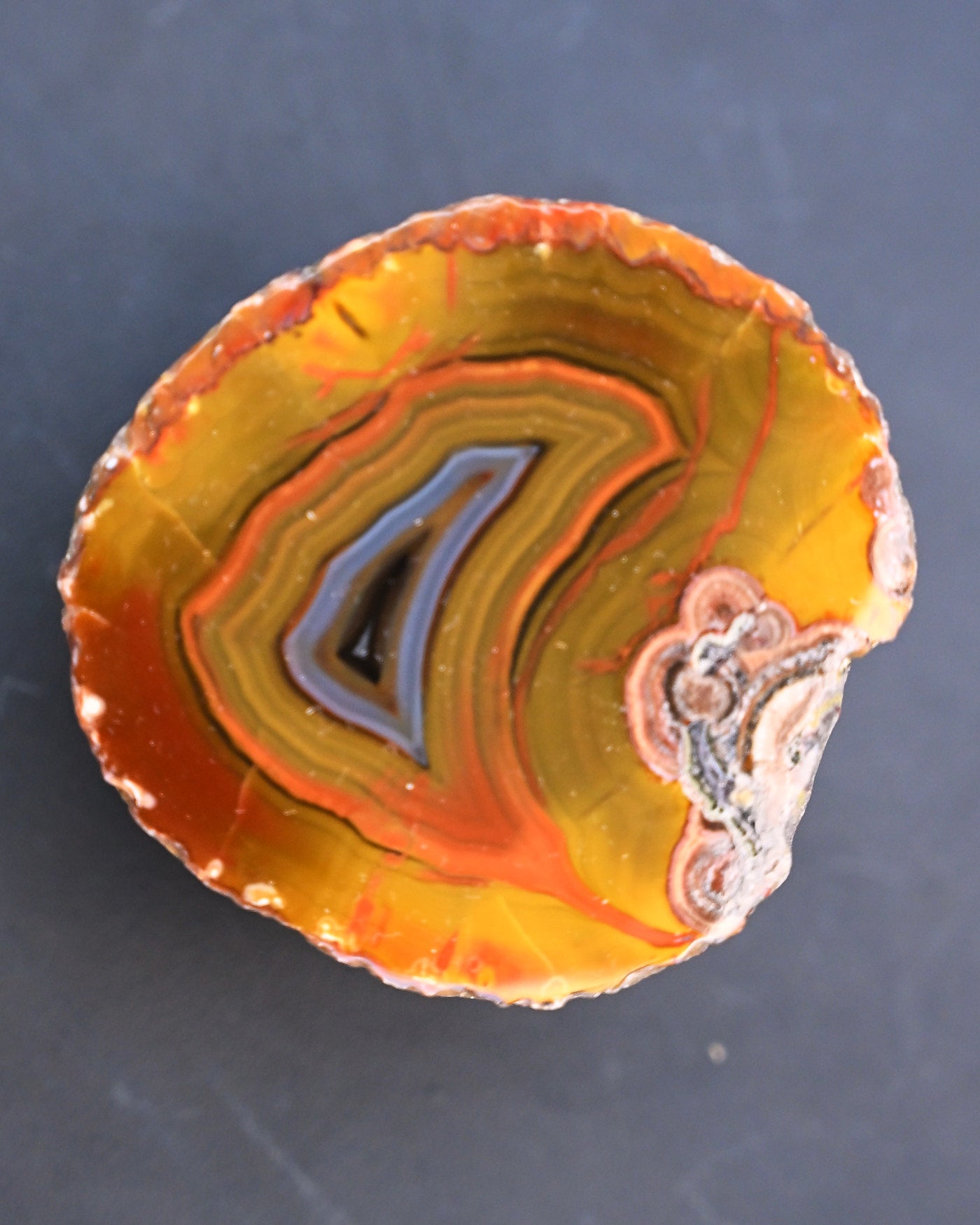 Fighting Blood Agate Slice Hebei China - top view