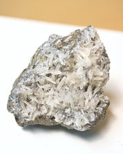 Galena, Pyrite + Quartz Cluster