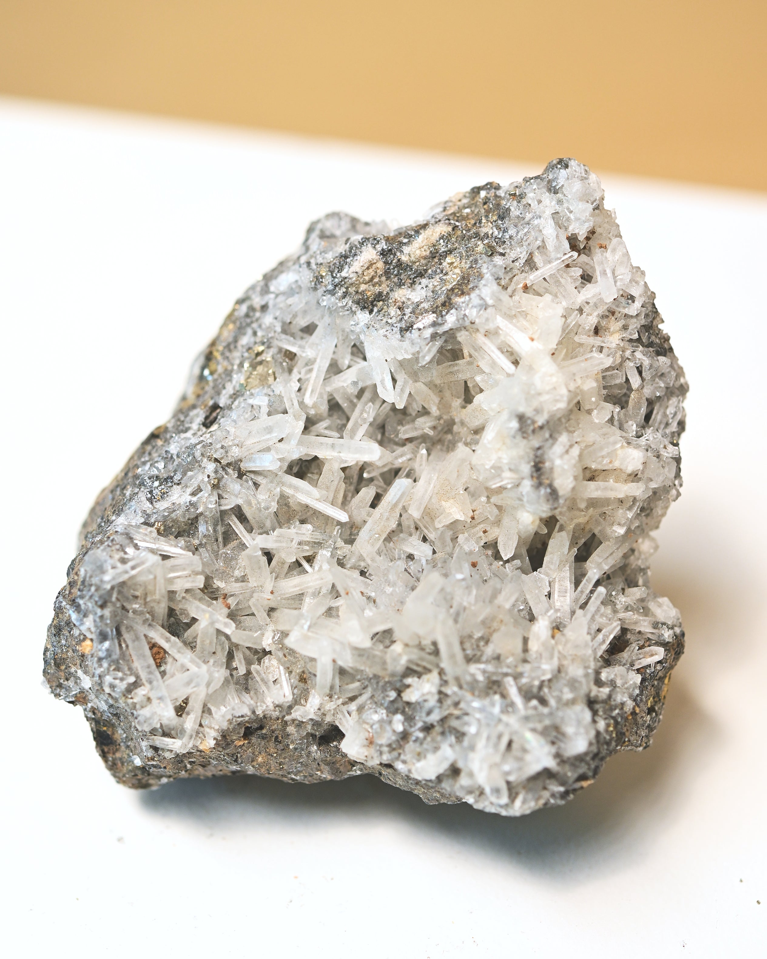 gakena--quRTZ--426--4x3--7103.jpg