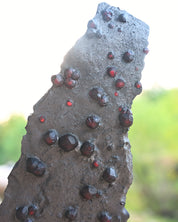 garnet ingrpahite redembers mine, erving ass .575 8x3