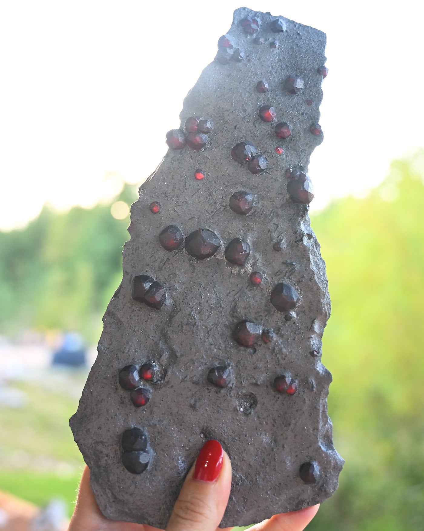 Garnet in Graphite Red Embers Mine Massachusetts 0.575 lb