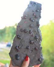 Garnet in Graphite Red Embers Mine Massachusetts 0.575 lb