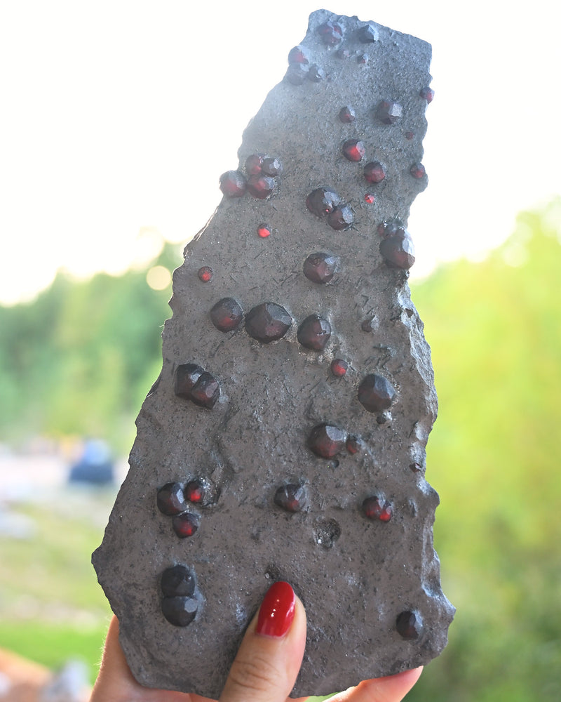 Garnet in Graphite Specimen — Red Embers Mine, Massachusetts