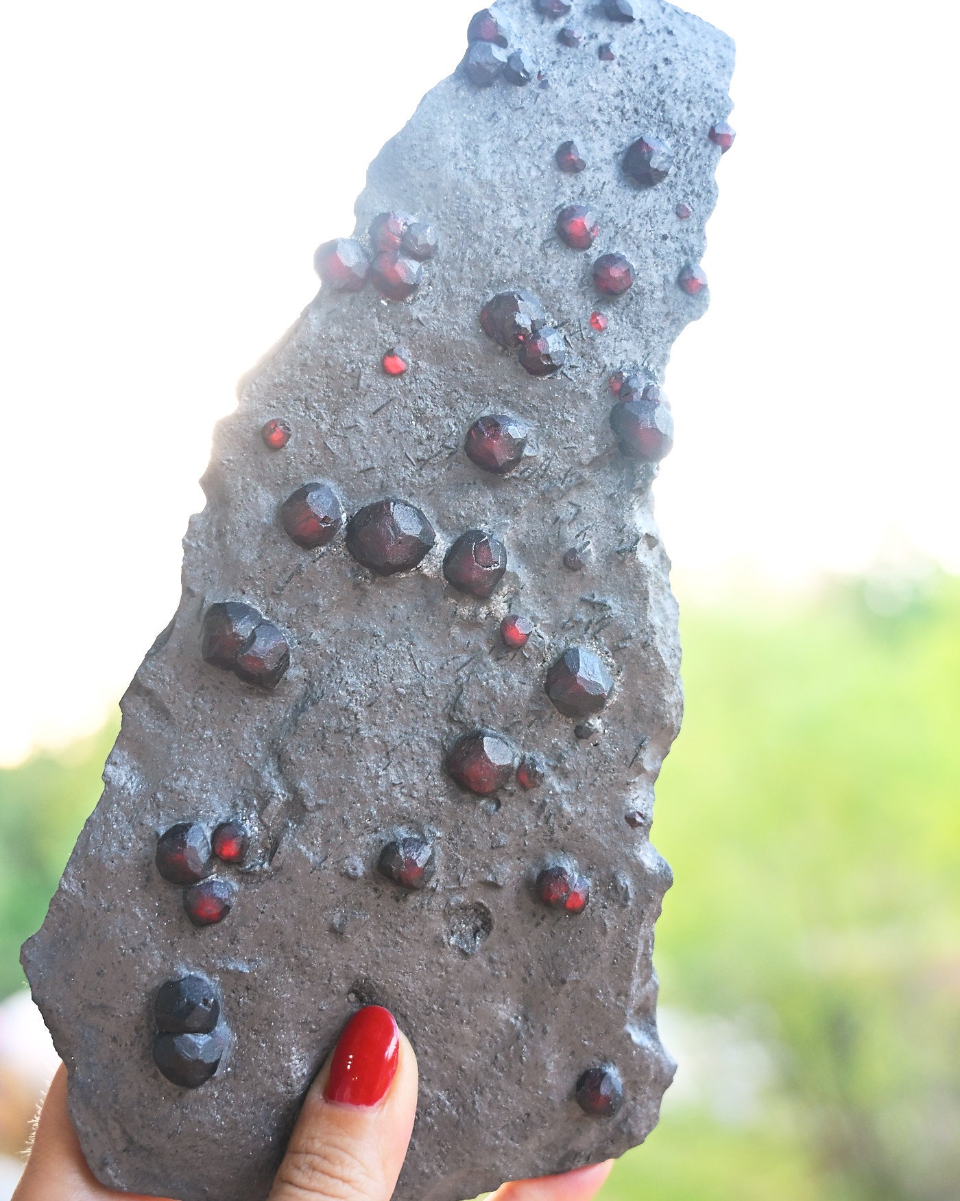 Garnet in Graphite Red Embers Mine Massachusetts 0.575 lb