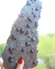 Garnet in Graphite Red Embers Mine Massachusetts 0.575 lb
