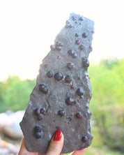 Garnet in Graphite Red Embers Mine Massachusetts 0.575 lb
