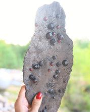 Garnet in Graphite Red Embers Mine Massachusetts 0.875 lb