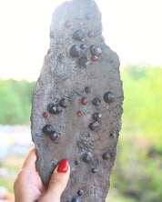 Garnet in Graphite Red Embers Mine Massachusetts 0.875 lb