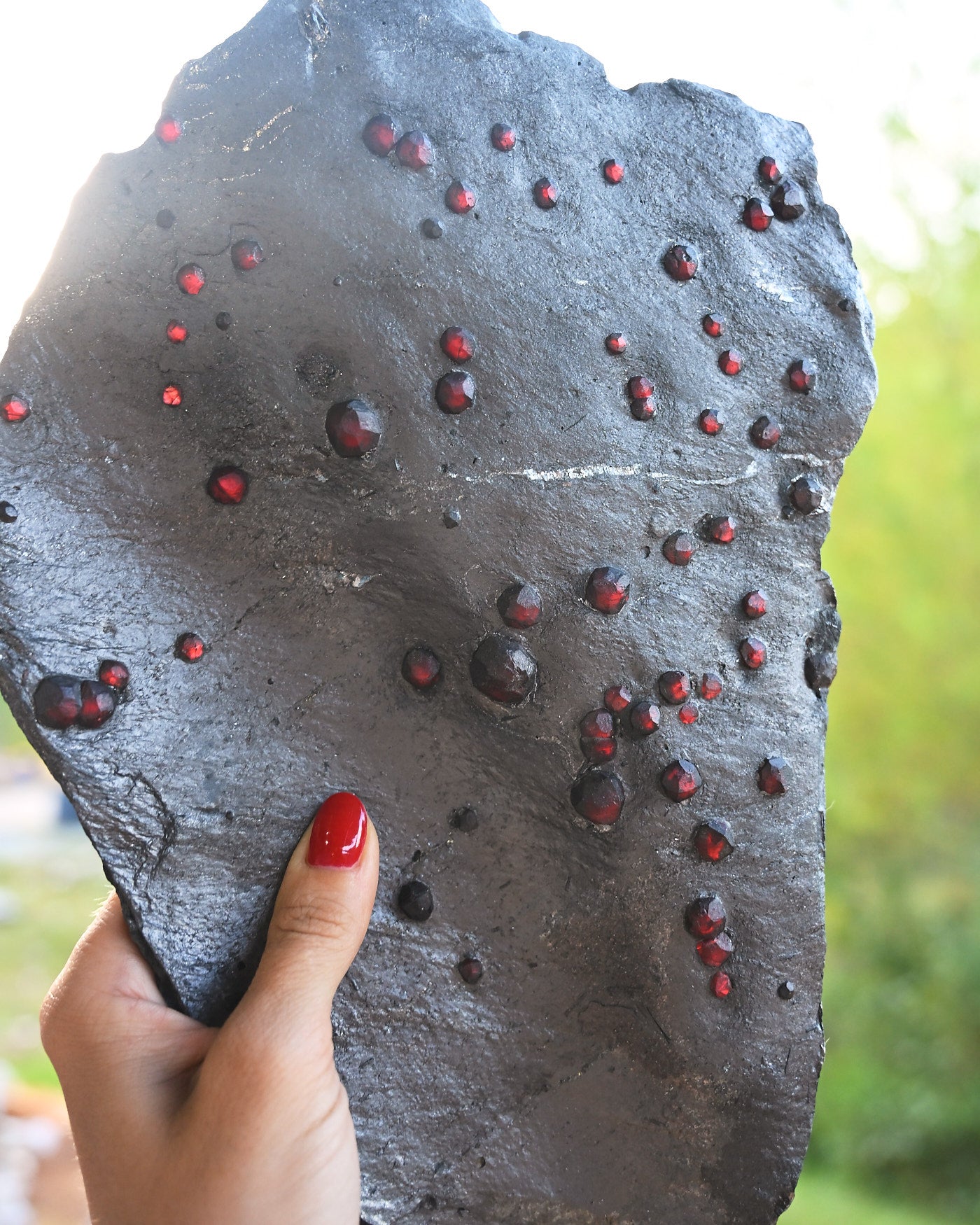 Garnet in Graphite Red Embers Mine Massachusetts 1.48 lb