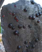 Garnet in Graphite Red Embers Mine Massachusetts 1.94 lb