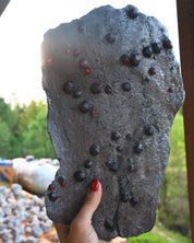 Garnet in Graphite Red Embers Mine Massachusetts 1.94 lb