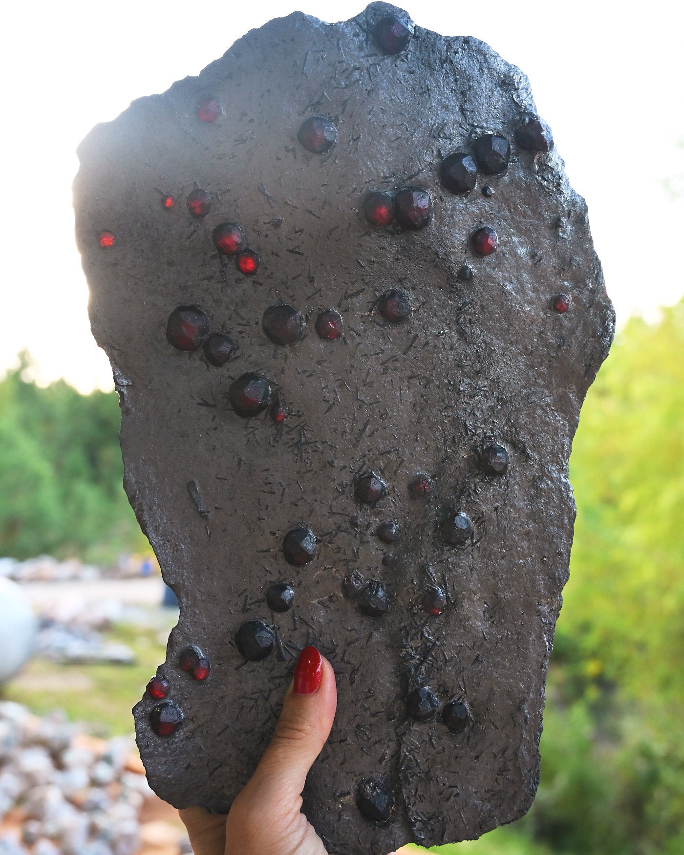 Garnet in Graphite Red Embers Mine Massachusetts 1.94 lb