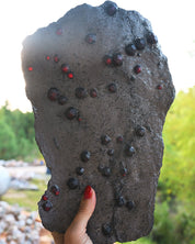 Garnet in Graphite Red Embers Mine Massachusetts 1.94 lb
