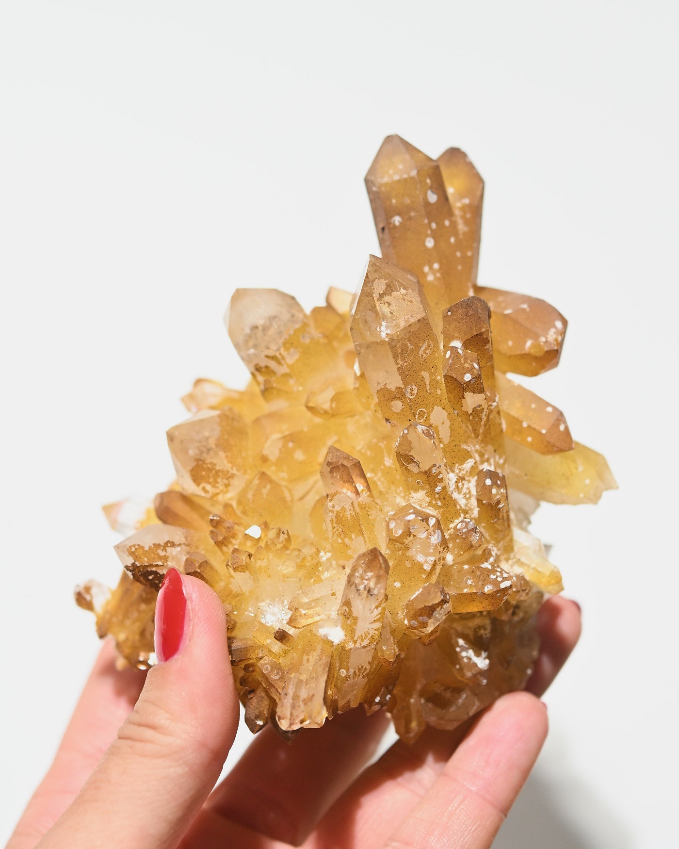Golden Faden Quartz Cluster 4in