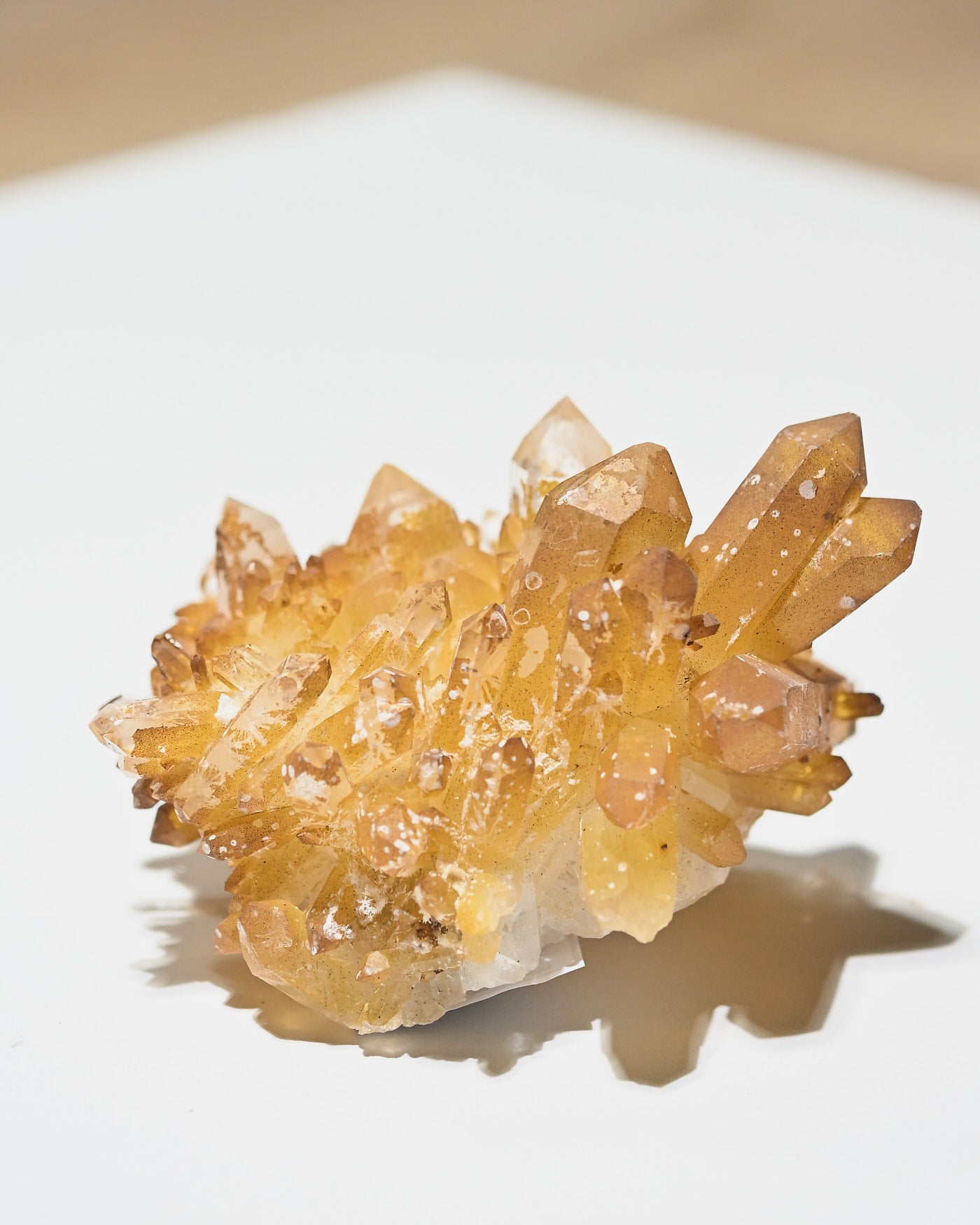 Golden Faden Quartz Cluster 4in