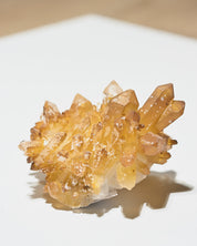 Golden Faden Quartz Cluster 4in