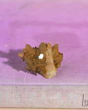 Golden Faden Healer Quartz - Image 3