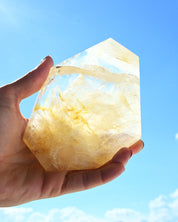 Golden Healer 589g