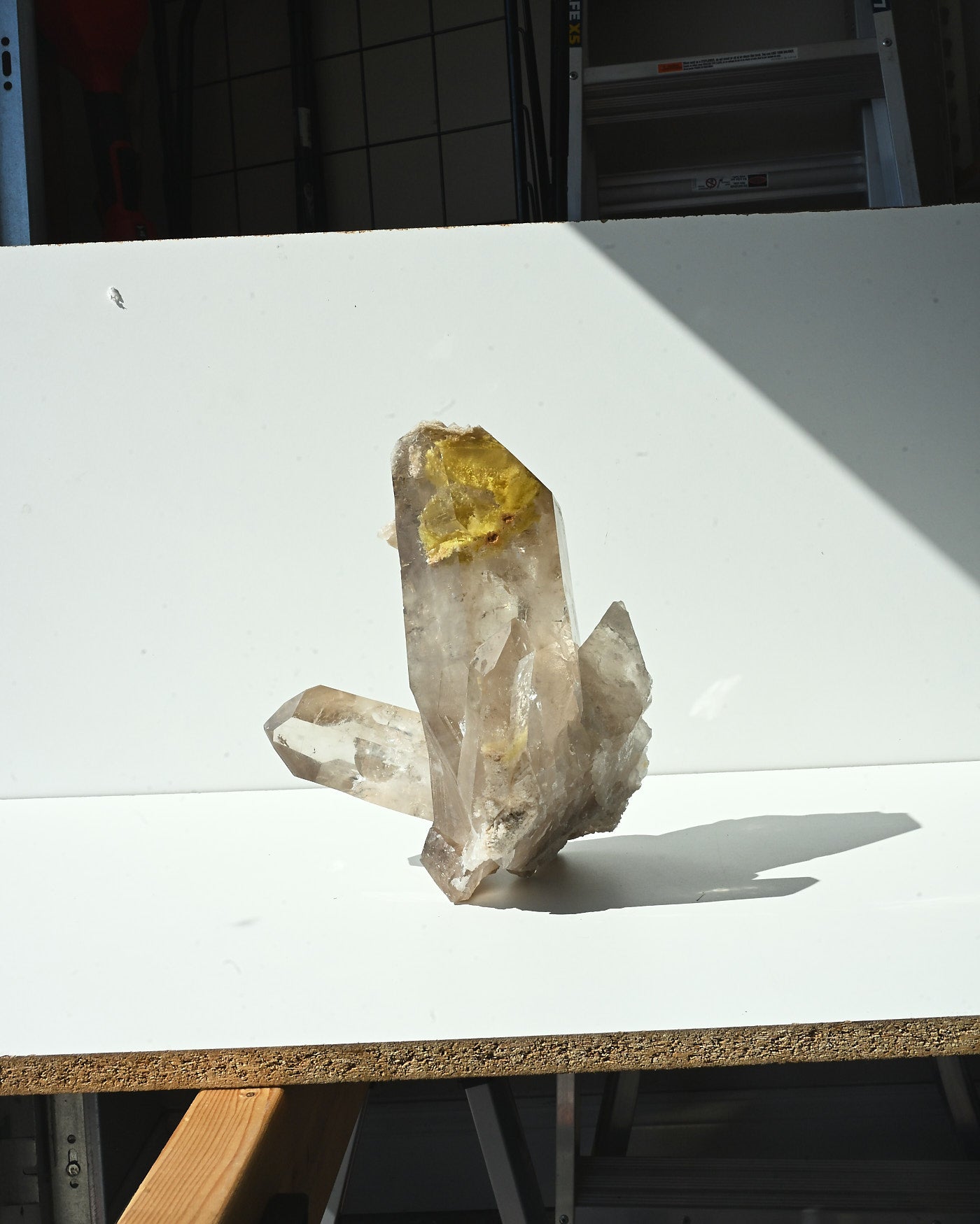 Golden Healer 589g