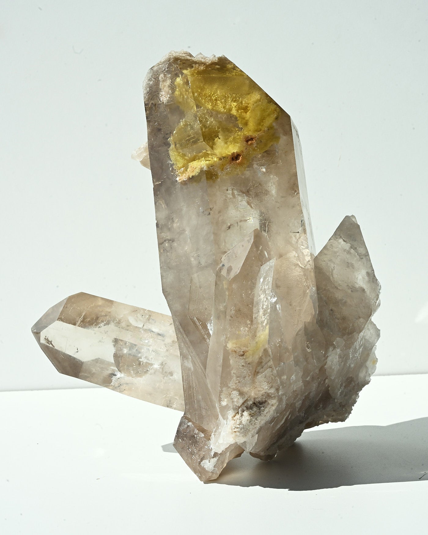 Golden Healer 589g