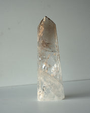 Smoky Tip Tower 883g
