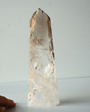Smoky Tip Tower 883g