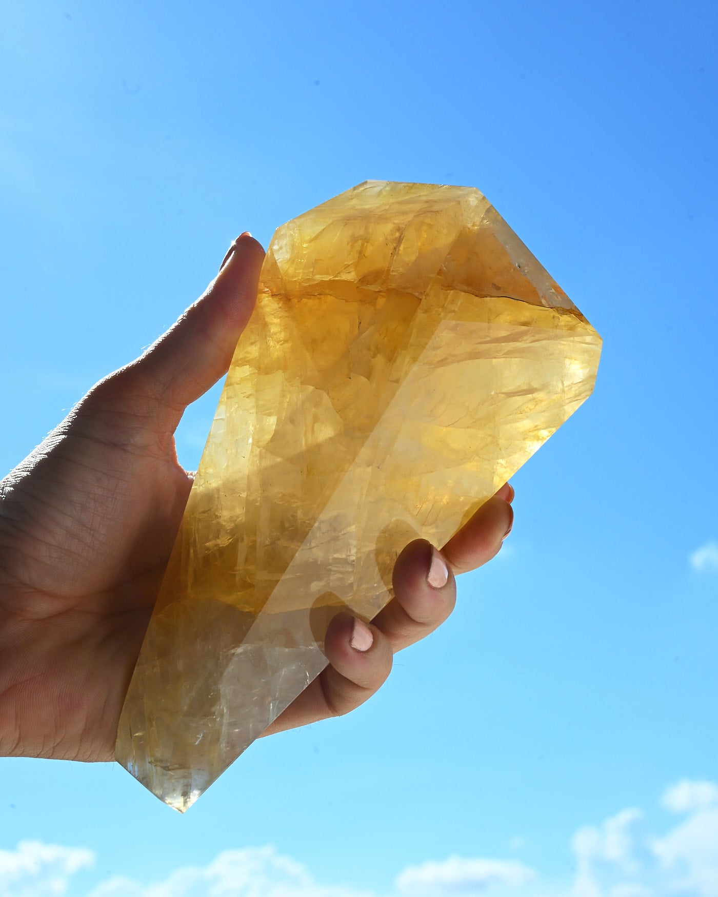 Golden Healer 711g
