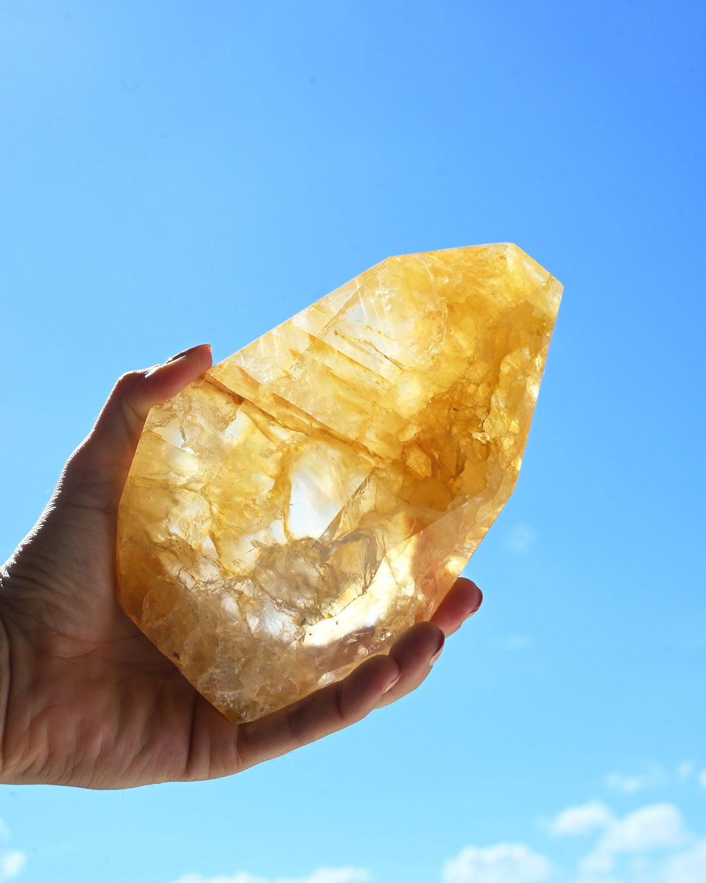 Golden Healer 866g