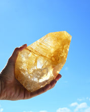 Golden Healer 866g
