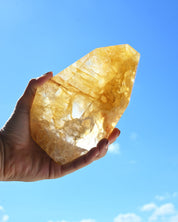 Golden Healer 866g