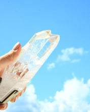 DT Quartz 470g