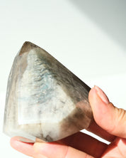Lodolite 326g