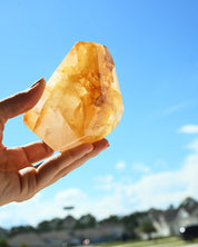 Golden Healer 674g
