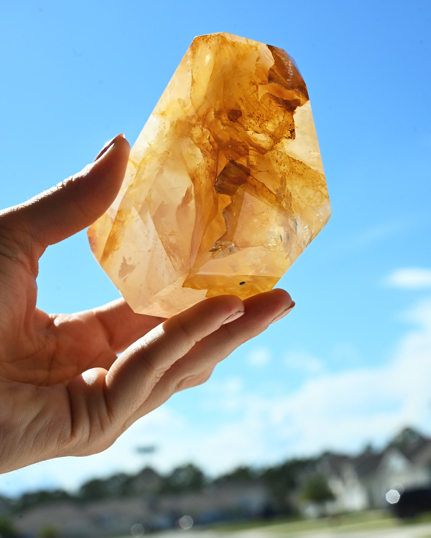 Golden Healer 674g