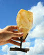 Hematite Golden Healer Quartz on Stand 520g