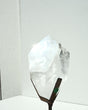 Clear Quartz on Stand 3.3 lbs