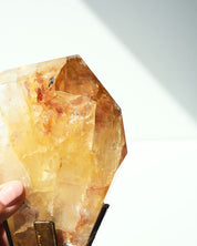 Golden Healer 480g