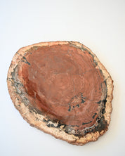 Rare Red Petrified Wood Slab 3.8lbs